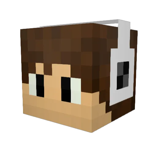 VAlves37 Minecraft avatar head, 3D render