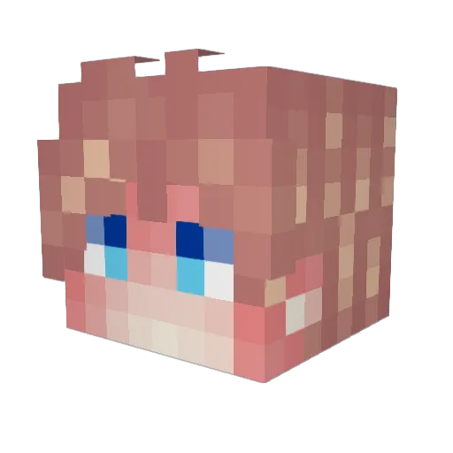 VBA2903 Minecraft avatar head, 3D render