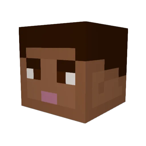 VBADRAN Minecraft avatar head, 3D render
