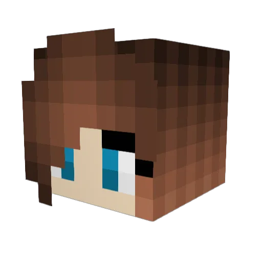 VDW_4 Minecraft avatar head, 3D render