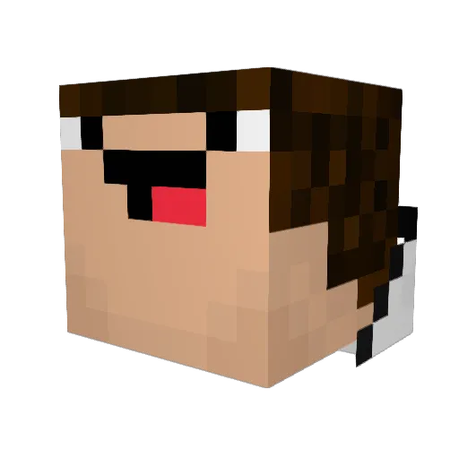 VDestroyer82 Minecraft avatar head, 3D render