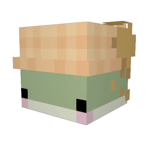 VE5PO Minecraft avatar head, 3D render