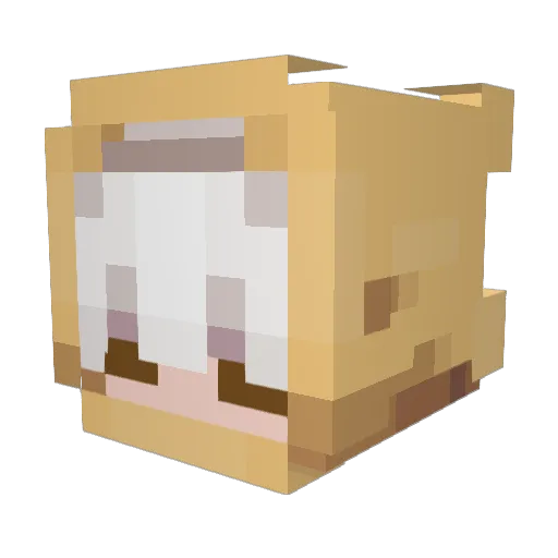 VEKSIR Minecraft avatar head, 3D render