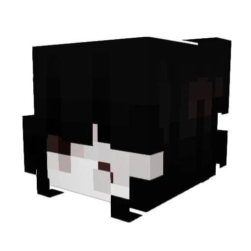 VENIE Minecraft avatar head, 3D render