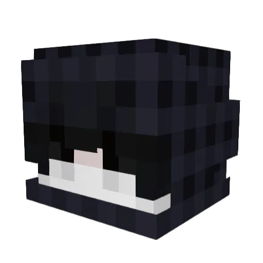 VERLEHAK47 Minecraft avatar head, 3D render