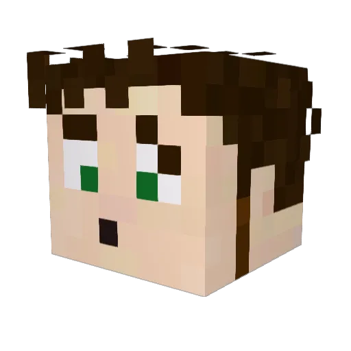 VERONICER Minecraft avatar head, 3D render