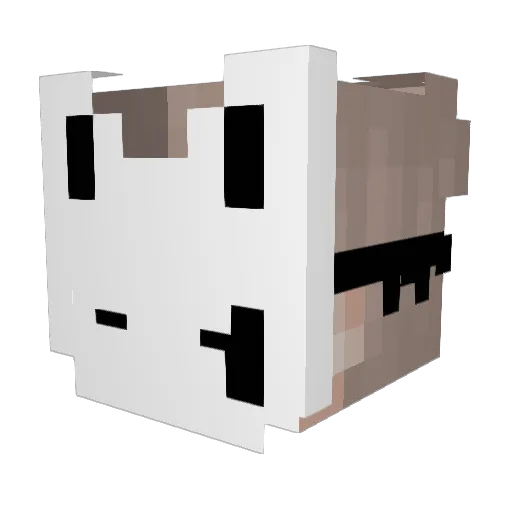 VERXBOO13 Minecraft avatar head, 3D render