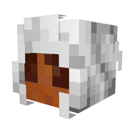 VETERAN_ Minecraft avatar head, 3D render