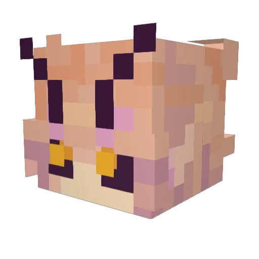VEnderbee Minecraft avatar head, 3D render