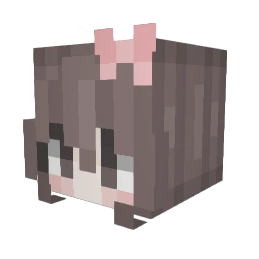 VFARUS Minecraft avatar head, 3D render