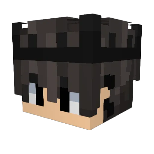 VFDSs Minecraft avatar head, 3D render