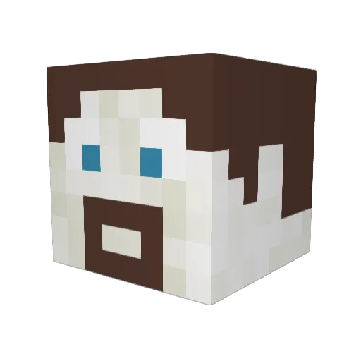 VGGuitarGuy Minecraft avatar head, 3D render