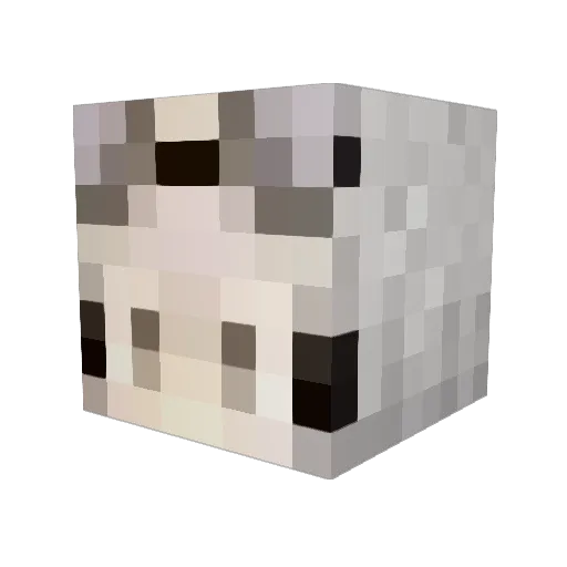VG_yiyi Minecraft avatar head, 3D render