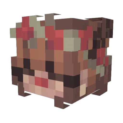 VGarza98 Minecraft avatar head, 3D render