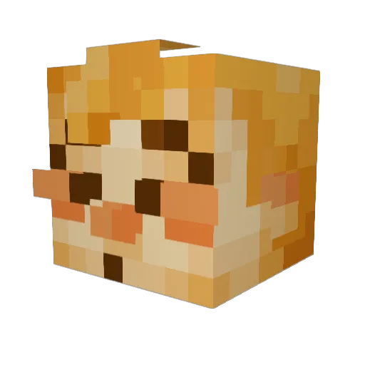 VHSHorrorMovies Minecraft avatar head, 3D render