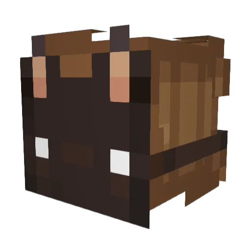 VHouse Minecraft avatar head, 3D render