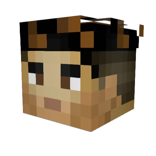VICENTEGAMER777 Minecraft avatar head, 3D render