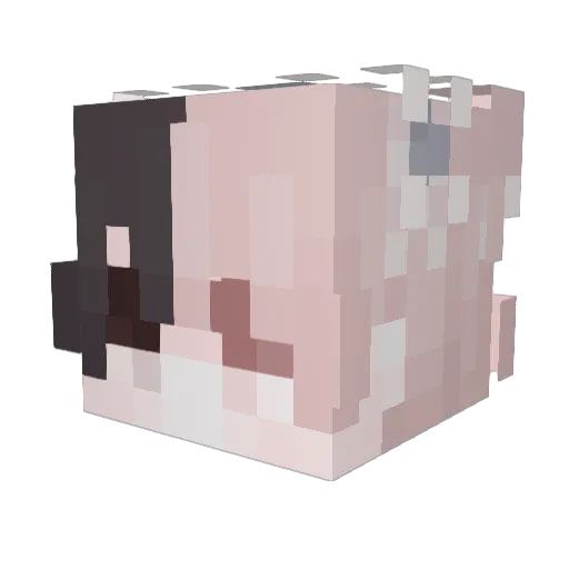 VICHY09 Minecraft avatar head, 3D render