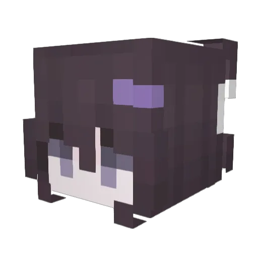 VICINALBEAST56 Minecraft avatar head, 3D render