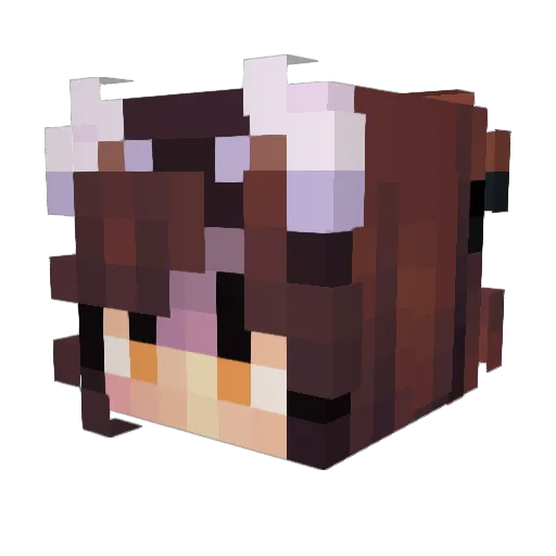 VIPBlackjack94 Minecraft avatar head, 3D render