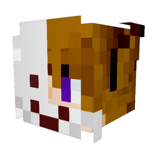 VIP_Mader Minecraft avatar head, 3D render