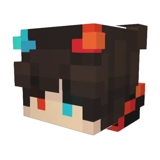 VISKE11 Minecraft avatar head, 3D render