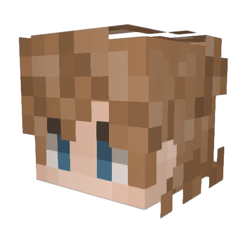 VISN0 Minecraft avatar head, 3D render