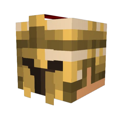 VITAL_o Minecraft avatar head, 3D render