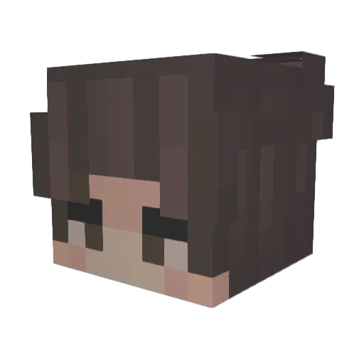 VITAVATEAUFNR1 Minecraft avatar head, 3D render