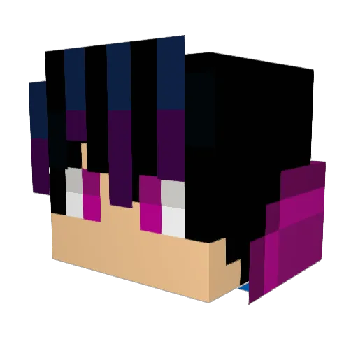 VIT_ Minecraft avatar head, 3D render