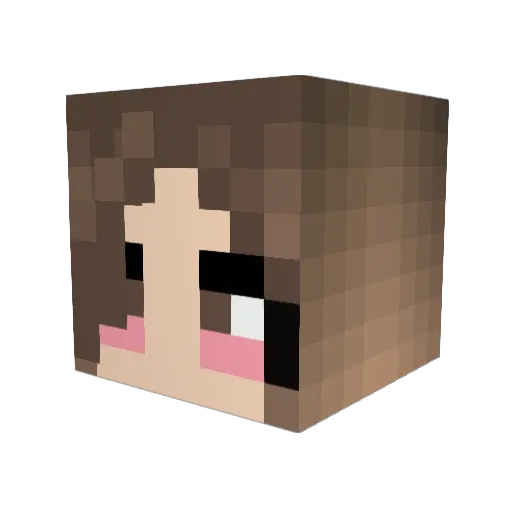 VIVI453 Minecraft avatar head, 3D render