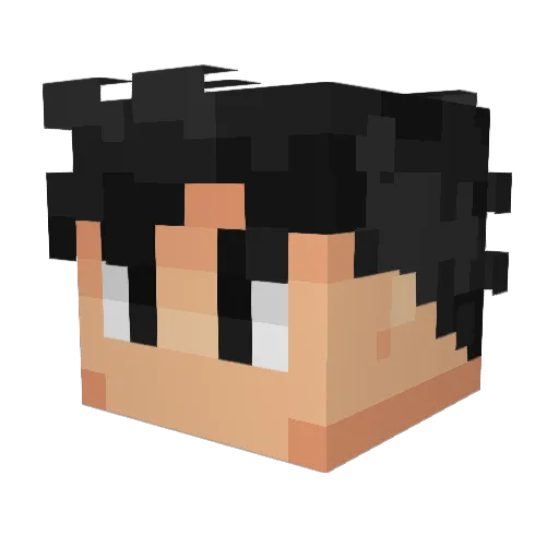 VI_n_ANTI Minecraft avatar head, 3D render