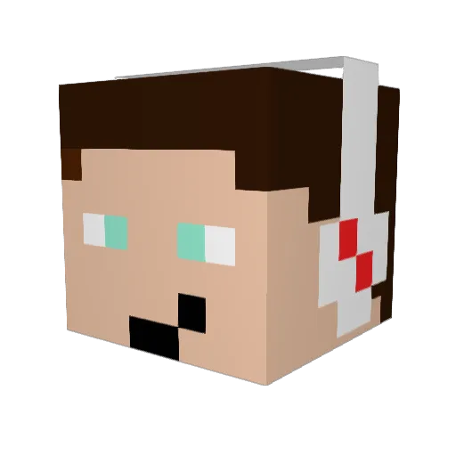 VIne_ViBeZ Minecraft avatar head, 3D render