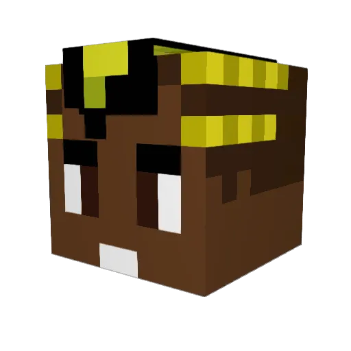 VLT221 Minecraft avatar head, 3D render