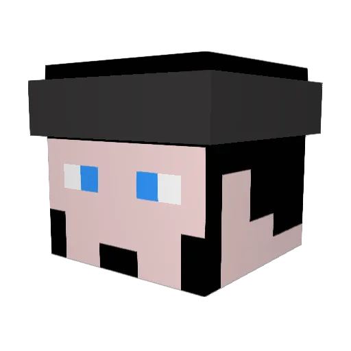 VNDarkWhite Minecraft avatar head, 3D render