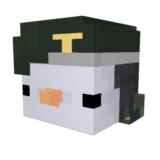 VNFGUS Minecraft avatar head, 3D render
