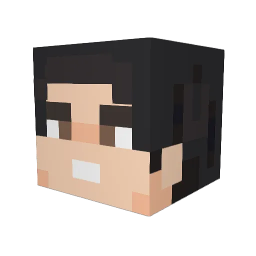 VNLHRM Minecraft avatar head, 3D render