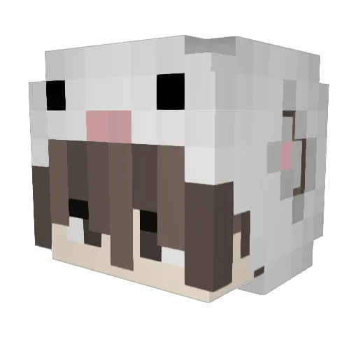VNTM_Insomnia_ Minecraft avatar head, 3D render