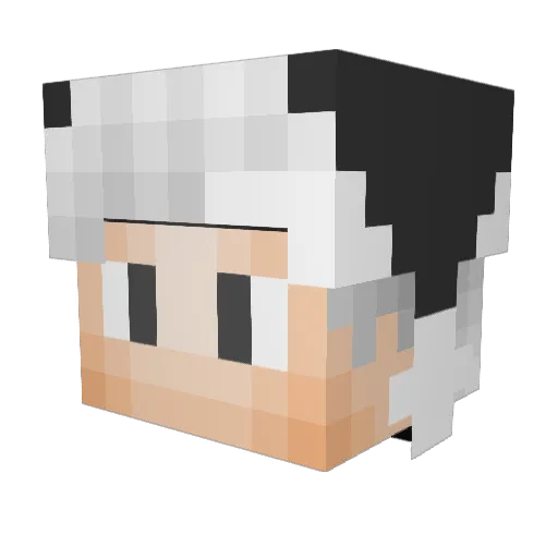 VNT_feladigaming Minecraft avatar head, 3D render
