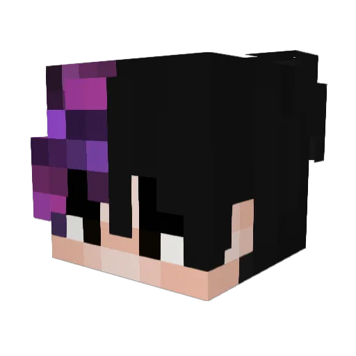 VNXXL Minecraft avatar head, 3D render