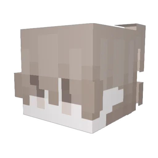 VNY_MagiKk Minecraft avatar head, 3D render