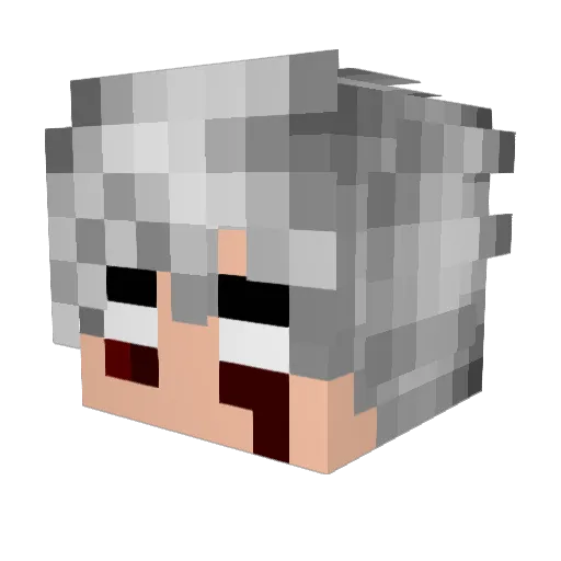 VN_____ Minecraft avatar head, 3D render