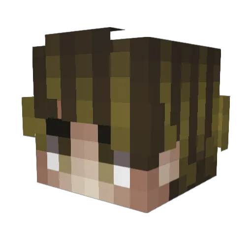 VOLLEYBALLISFUN Minecraft avatar head, 3D render