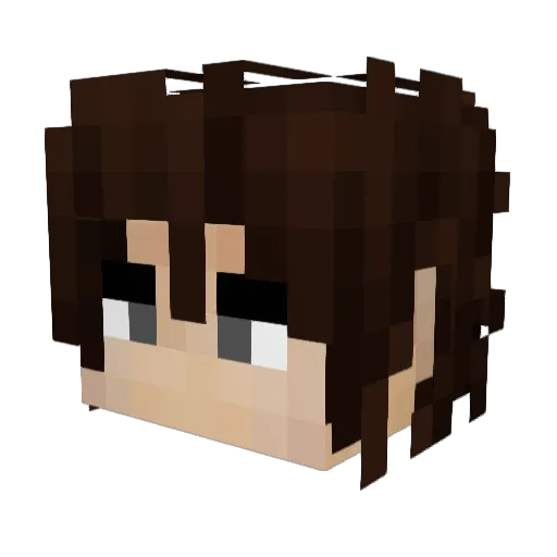 VPG1 Minecraft avatar head, 3D render