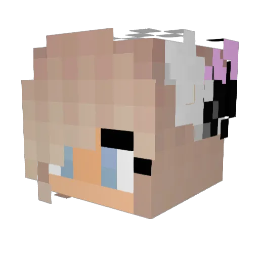 VPNProtection Minecraft avatar head, 3D render