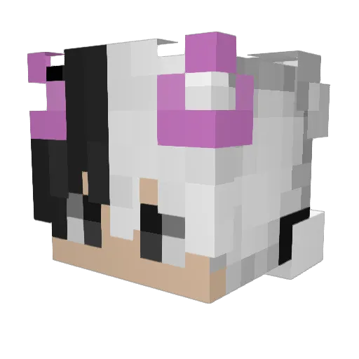 VPN_kxdu Minecraft avatar head, 3D render