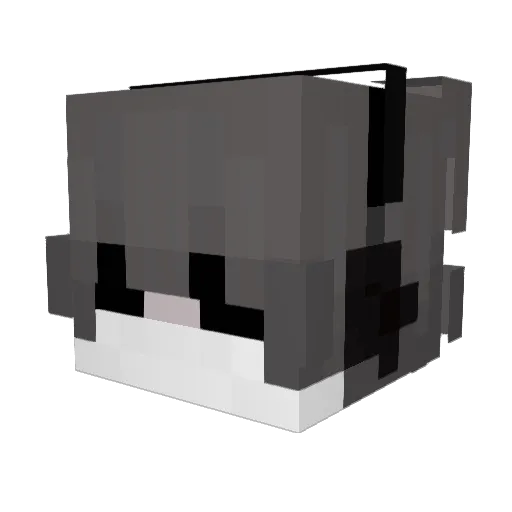 VR0SKII Minecraft avatar head, 3D render