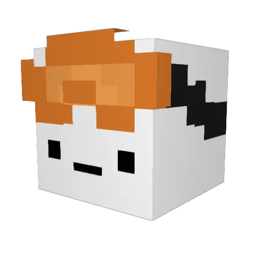 VS07_ Minecraft avatar head, 3D render
