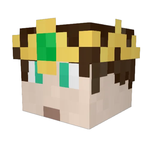 VSA19 Minecraft avatar head, 3D render
