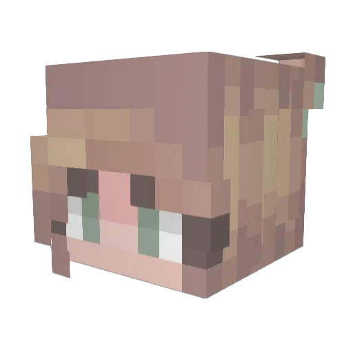 VSCFY Minecraft avatar head, 3D render